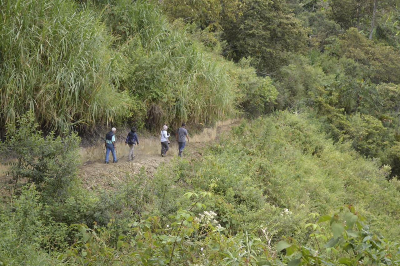 Sonarte Reserva Natural Cordoba  Luaran gambar