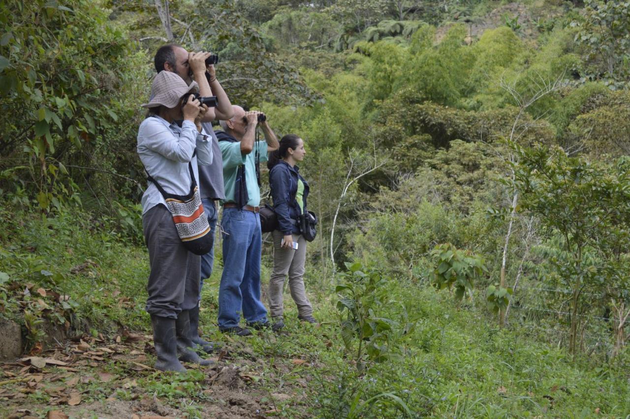 Sonarte Reserva Natural Cordoba  Luaran gambar