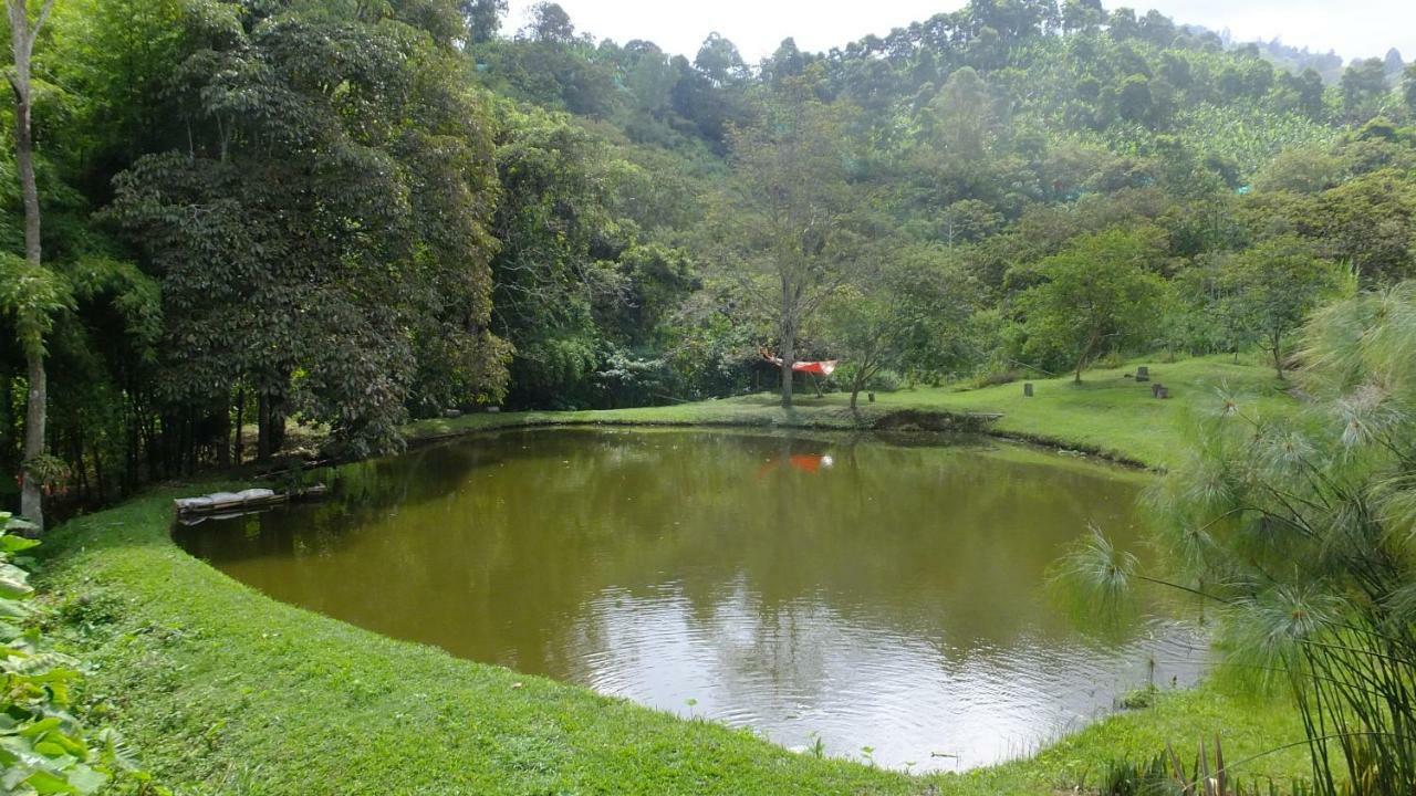 Sonarte Reserva Natural Cordoba  Luaran gambar