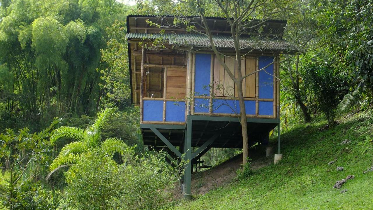 Sonarte Reserva Natural Cordoba  Luaran gambar
