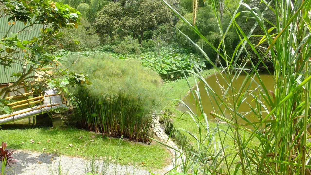 Sonarte Reserva Natural Cordoba  Luaran gambar